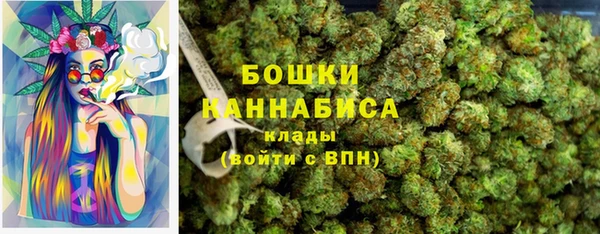 дмт Горно-Алтайск