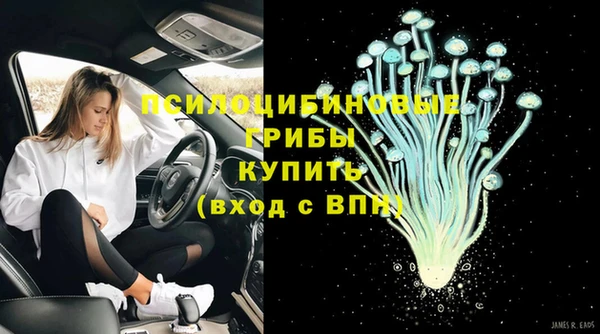 дмт Горно-Алтайск