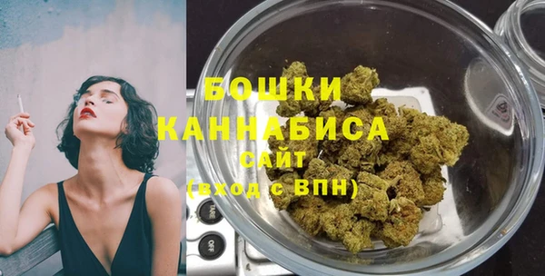 дмт Горно-Алтайск